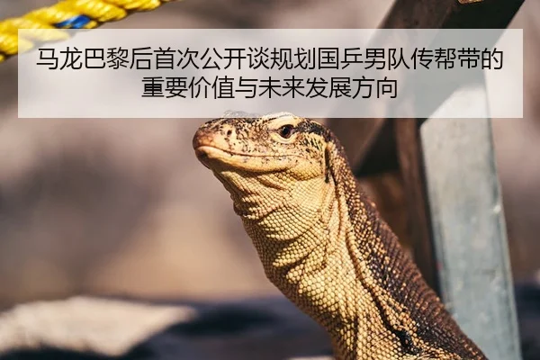 马龙巴黎后首次公开谈规划国乒男队传帮带的重要价值与未来发展方向