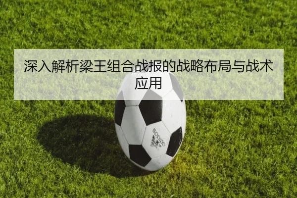 深入解析梁王组合战报的战略布局与战术应用